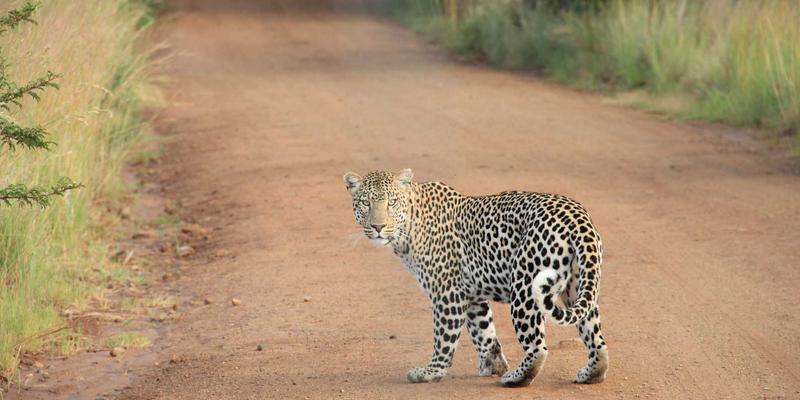 催化转化技术：让工业废气变废为宝，开启绿色生活新篇章