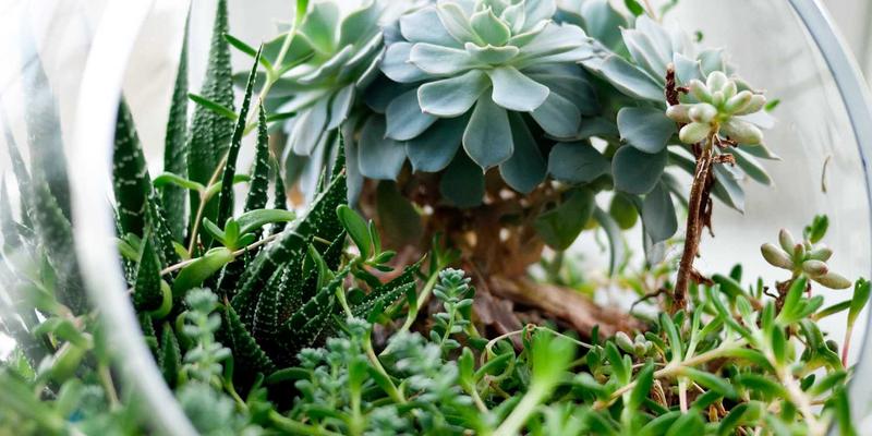 绿色氢能闭环革命:环保科技如何从制氢到废弃物资源化重塑生态未来